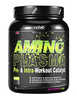 VPLab Aminoplasma 500g