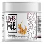 WELLFIT COLLAGEN 200 ГР